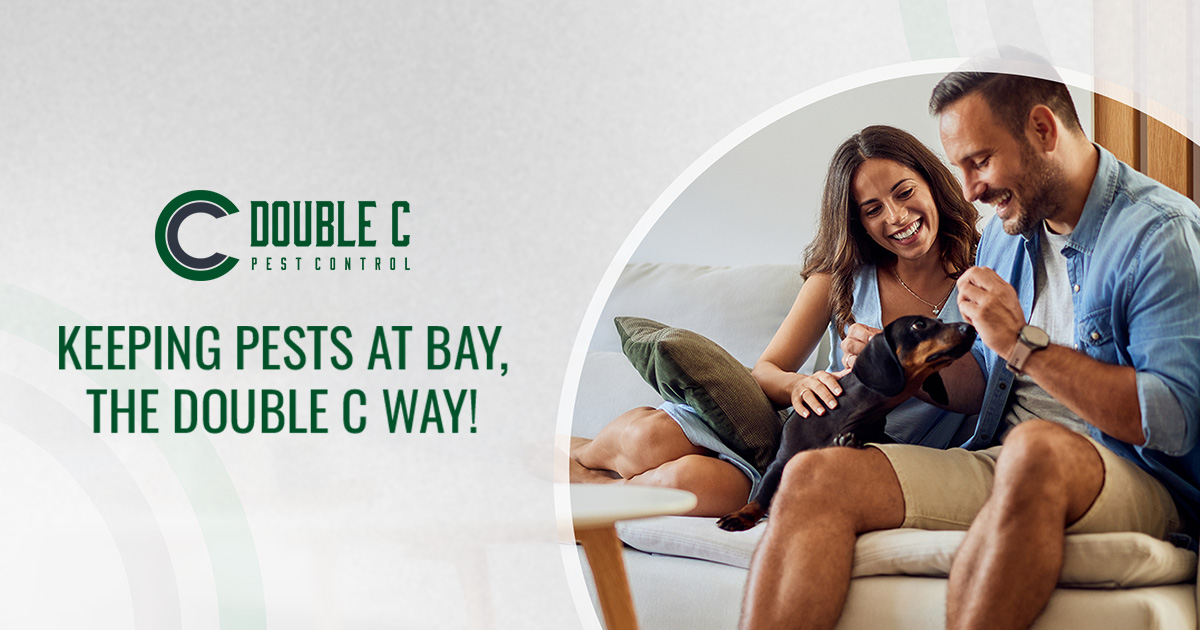 Reliable Pest Control Services in Columbus, TX Double C Pest